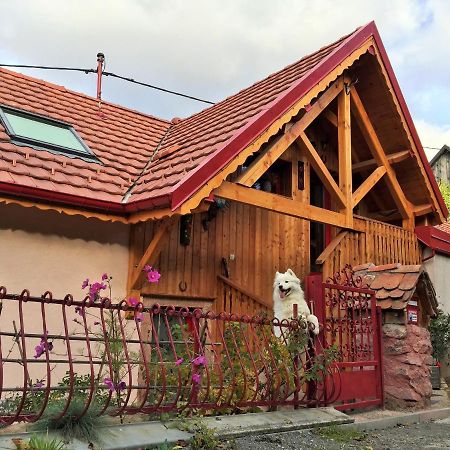 Gite Du Durrenbach Lautenbach Экстерьер фото