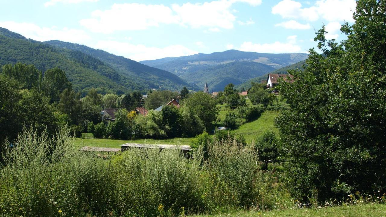 Gite Du Durrenbach Lautenbach Экстерьер фото