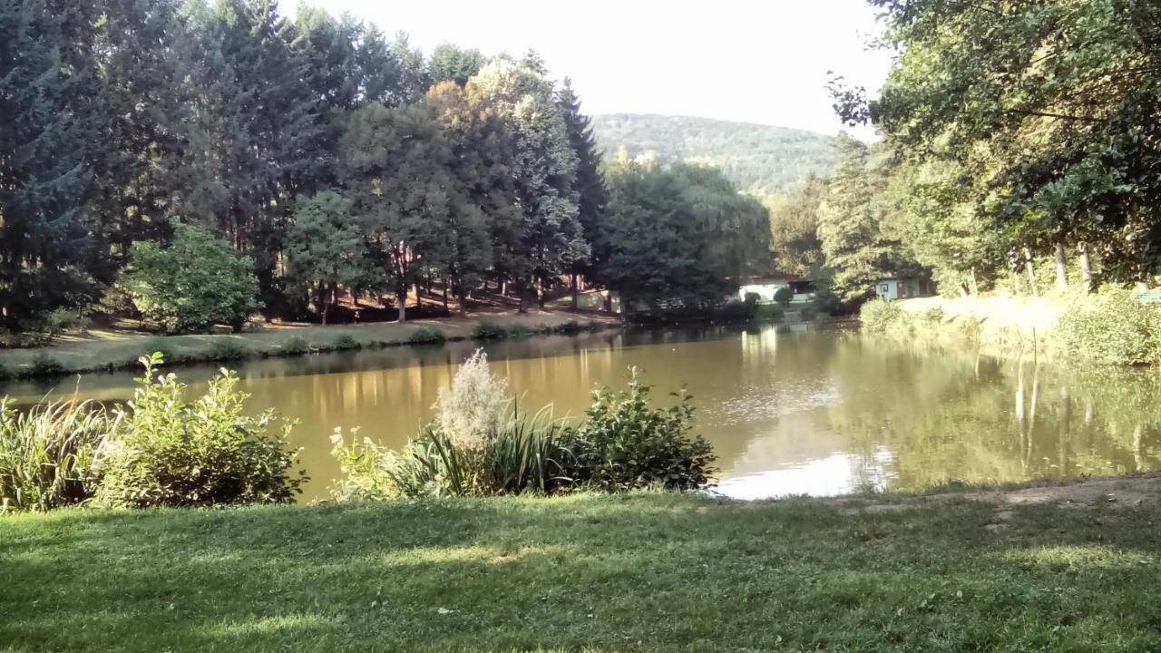 Gite Du Durrenbach Lautenbach Экстерьер фото