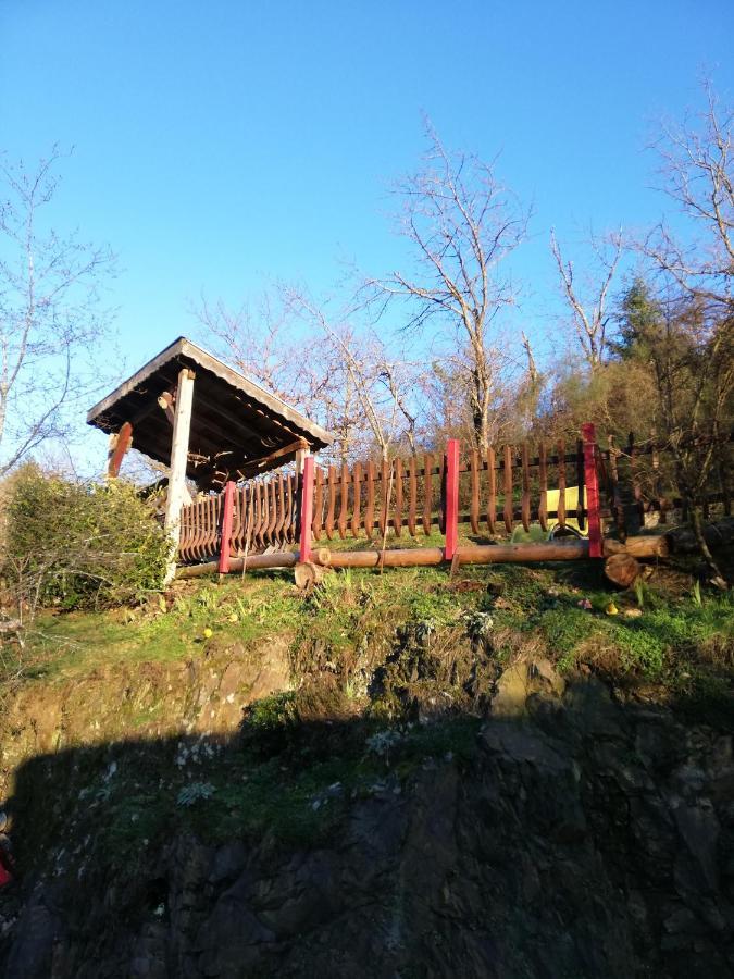 Gite Du Durrenbach Lautenbach Экстерьер фото
